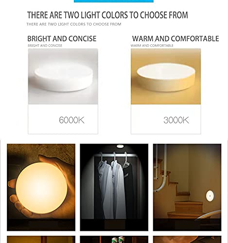 Motion Sensor Light for Home (Pack of 2)